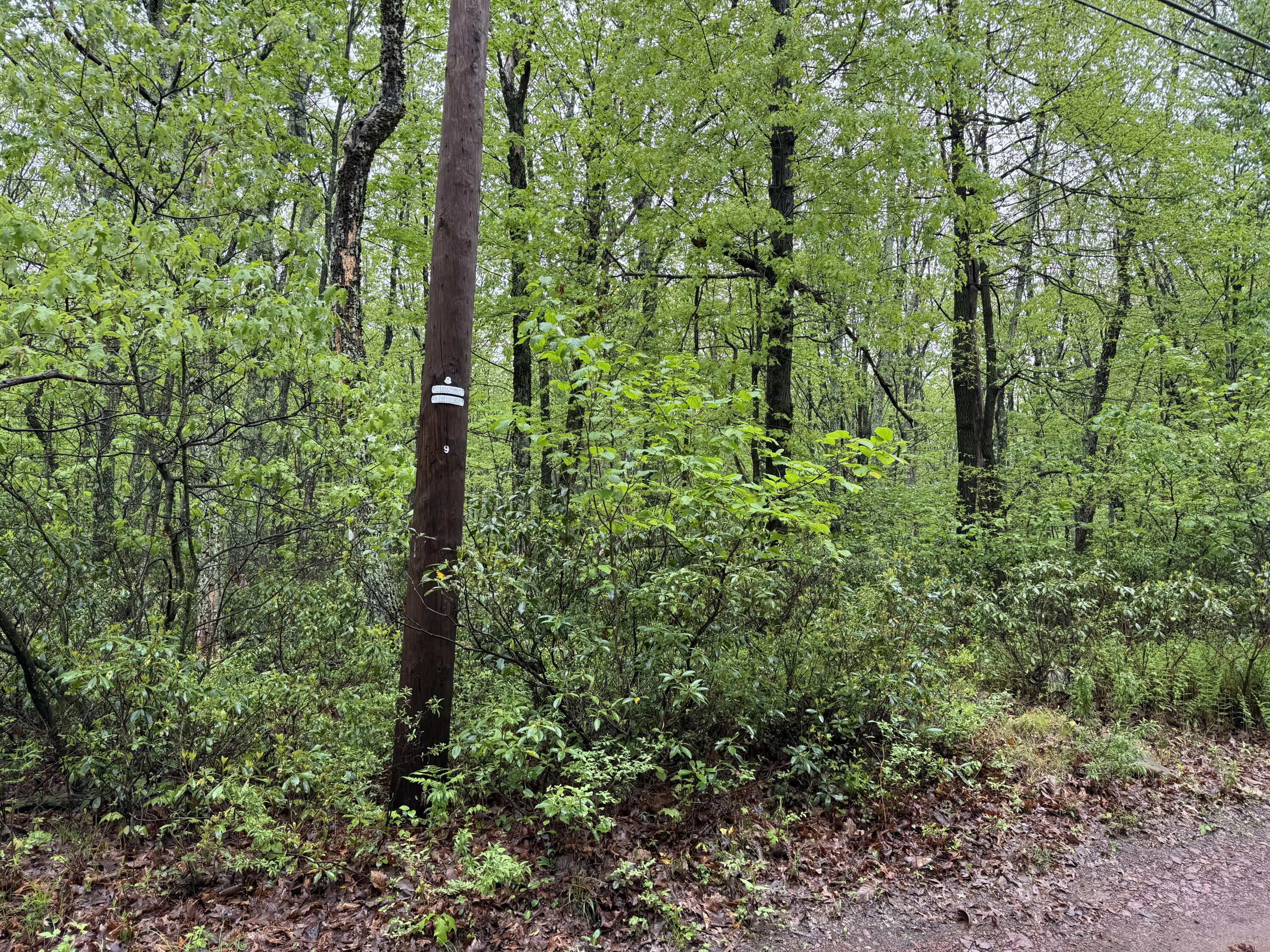LOT 1 Sportsman Trl Trail, Stroudsburg, Pennsylvania image 2