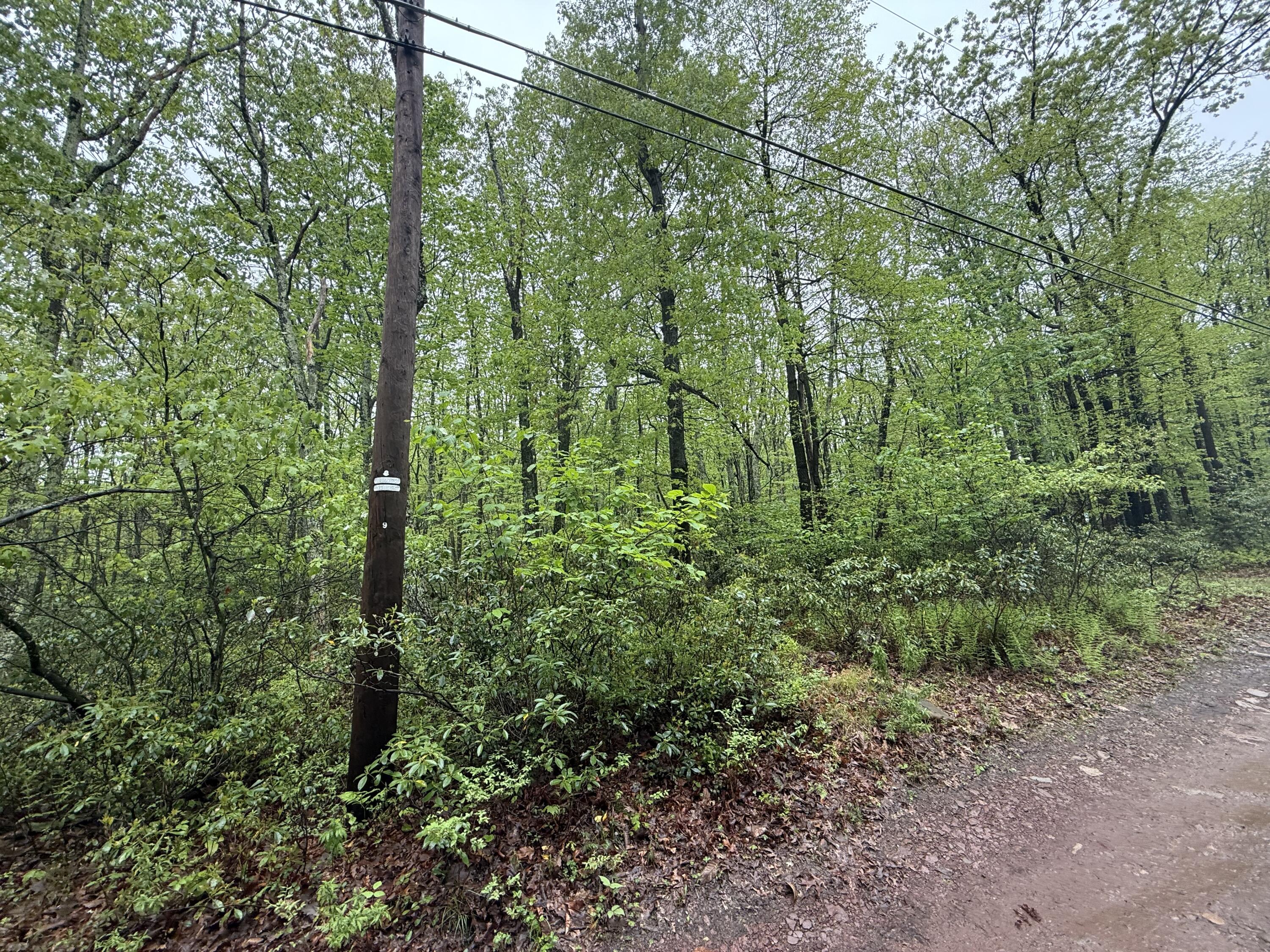 LOT 1 Sportsman Trl Trail, Stroudsburg, Pennsylvania image 5
