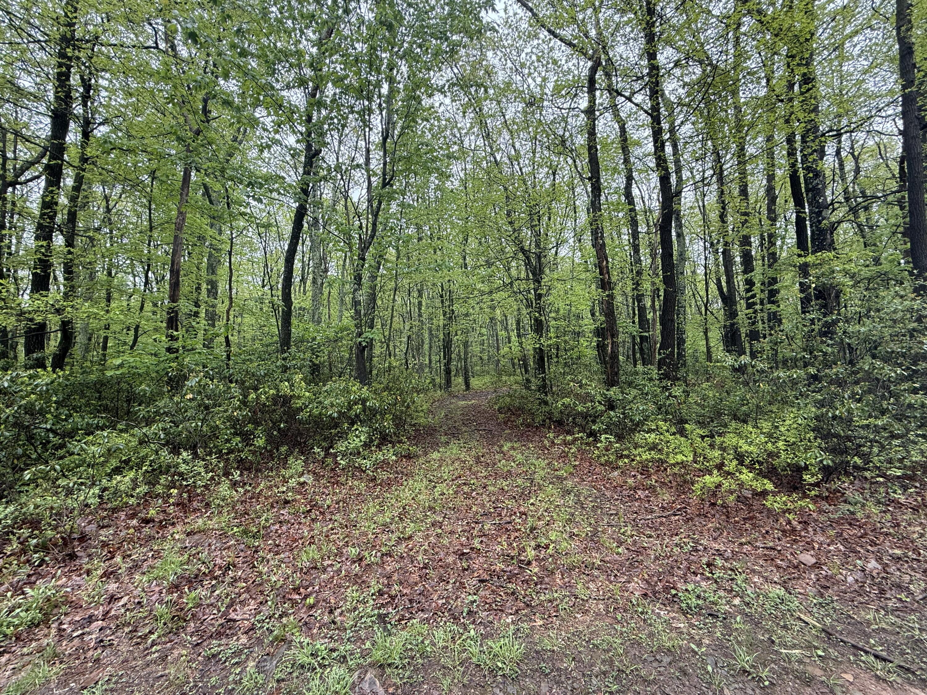 LOT 1 Sportsman Trl Trail, Stroudsburg, Pennsylvania image 1