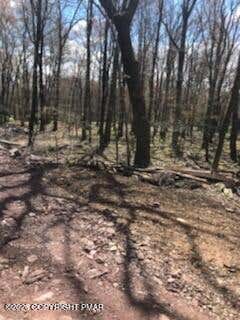 Vacant Land For Sale - Cree Trail<br/> Albrightsville, PA 18210