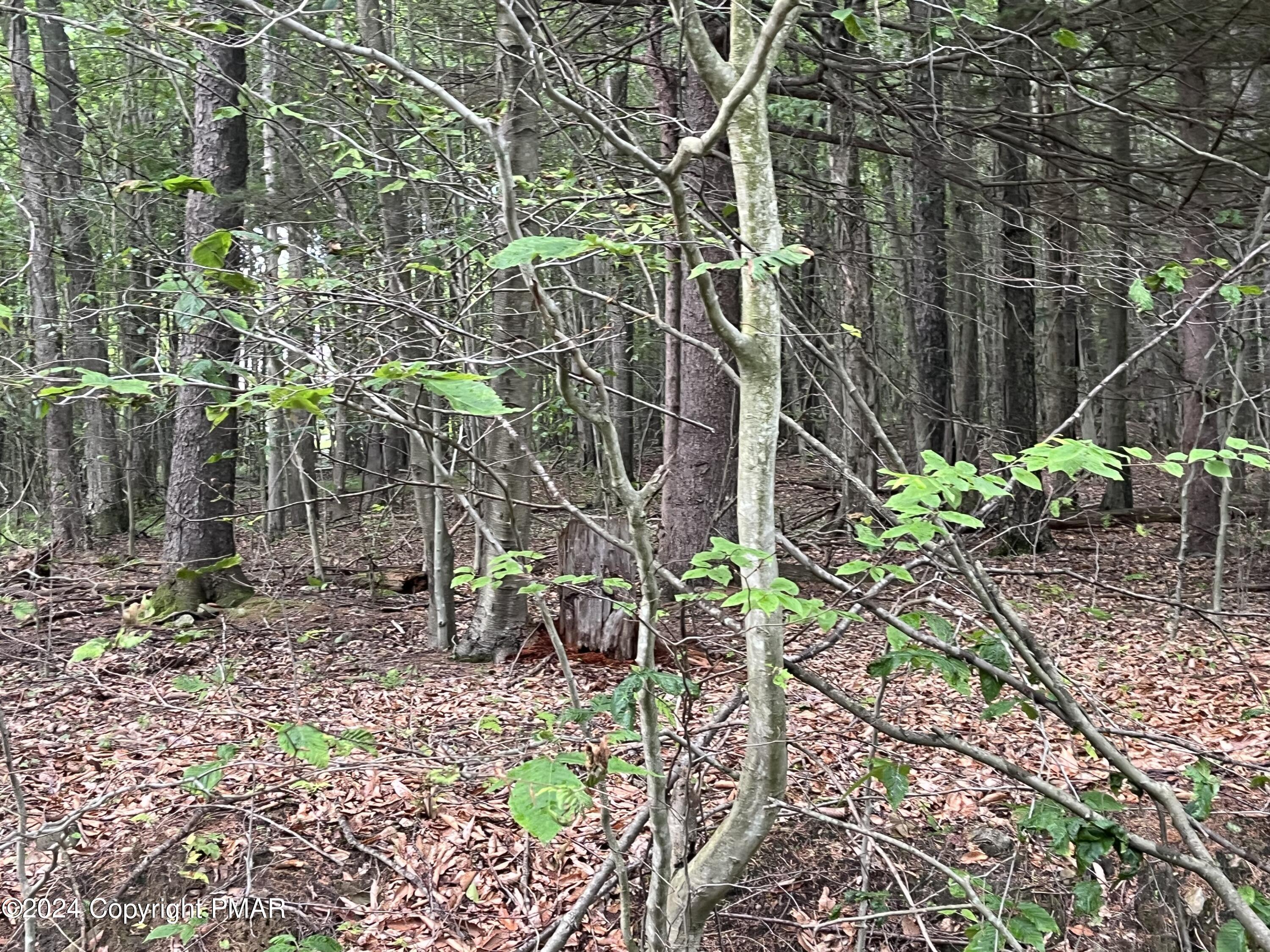 131 Cardinal - 2229 Drive