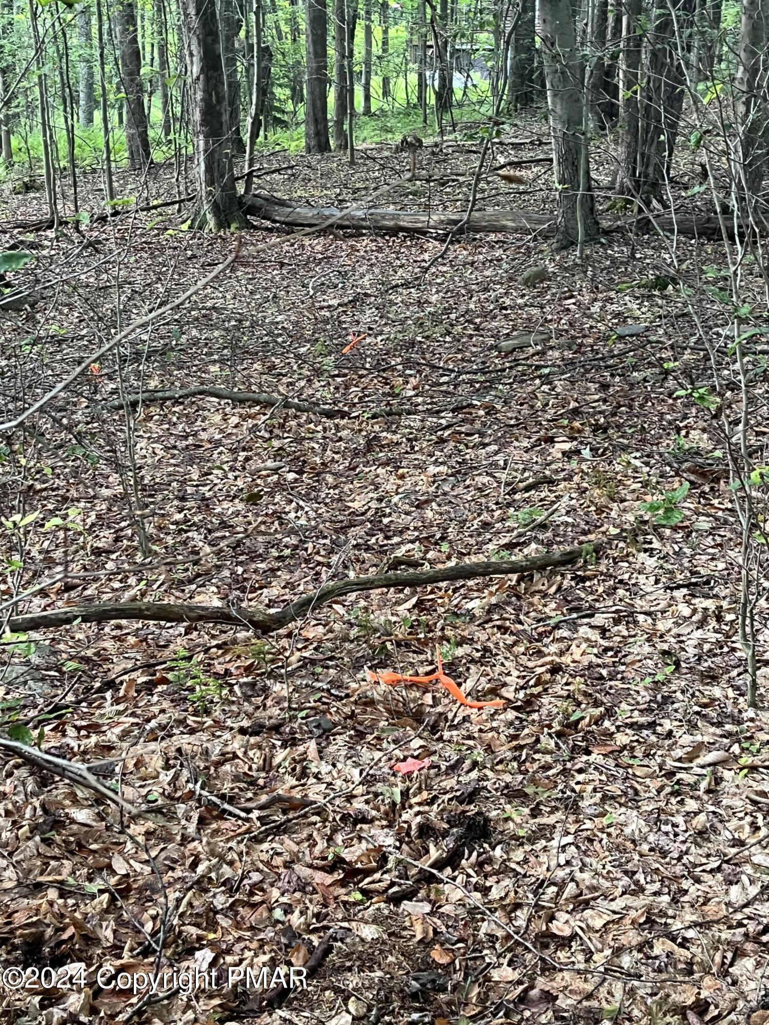 131 Cardinal - 2229 Drive