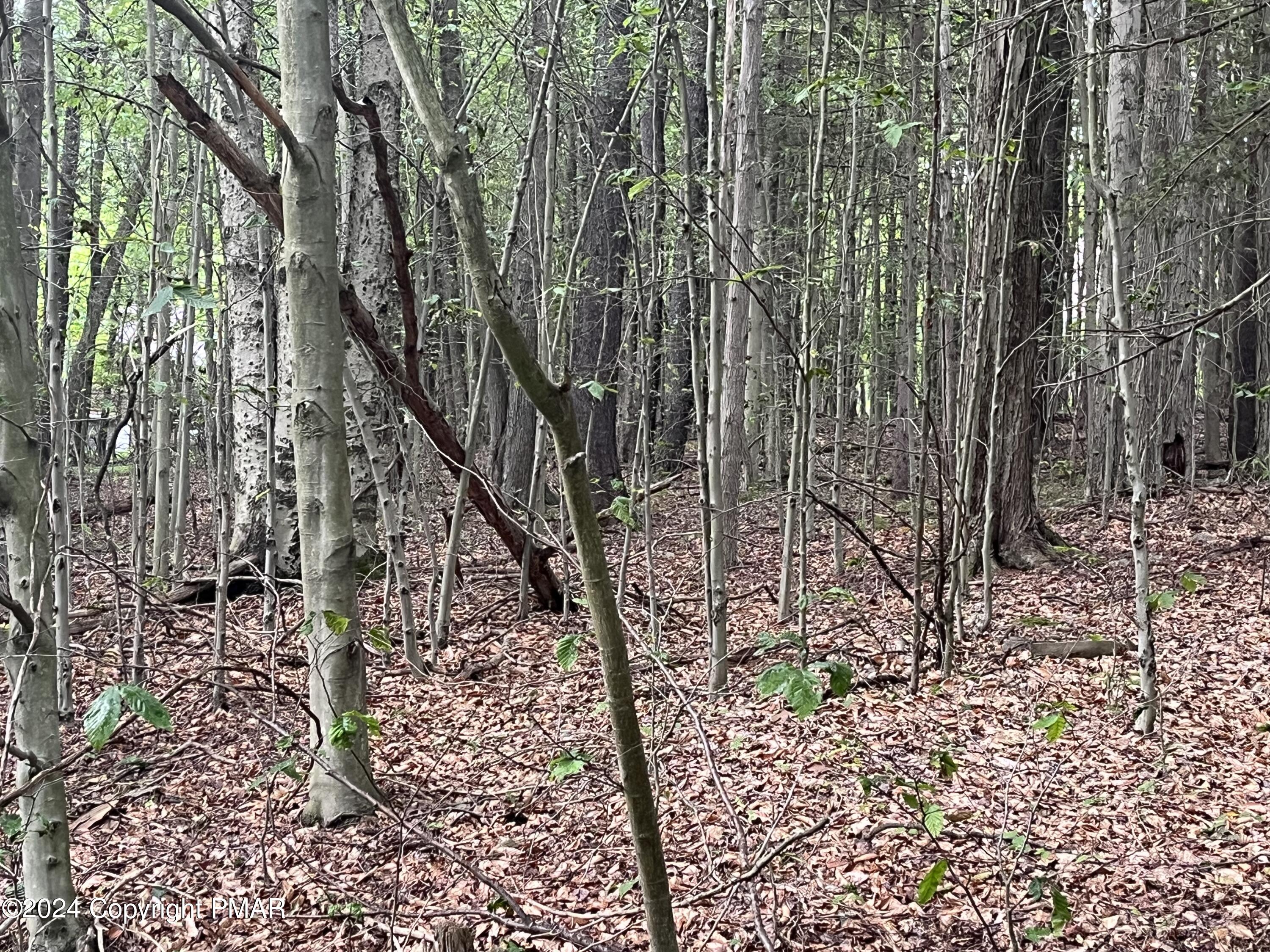 131 Cardinal - 2229 Drive