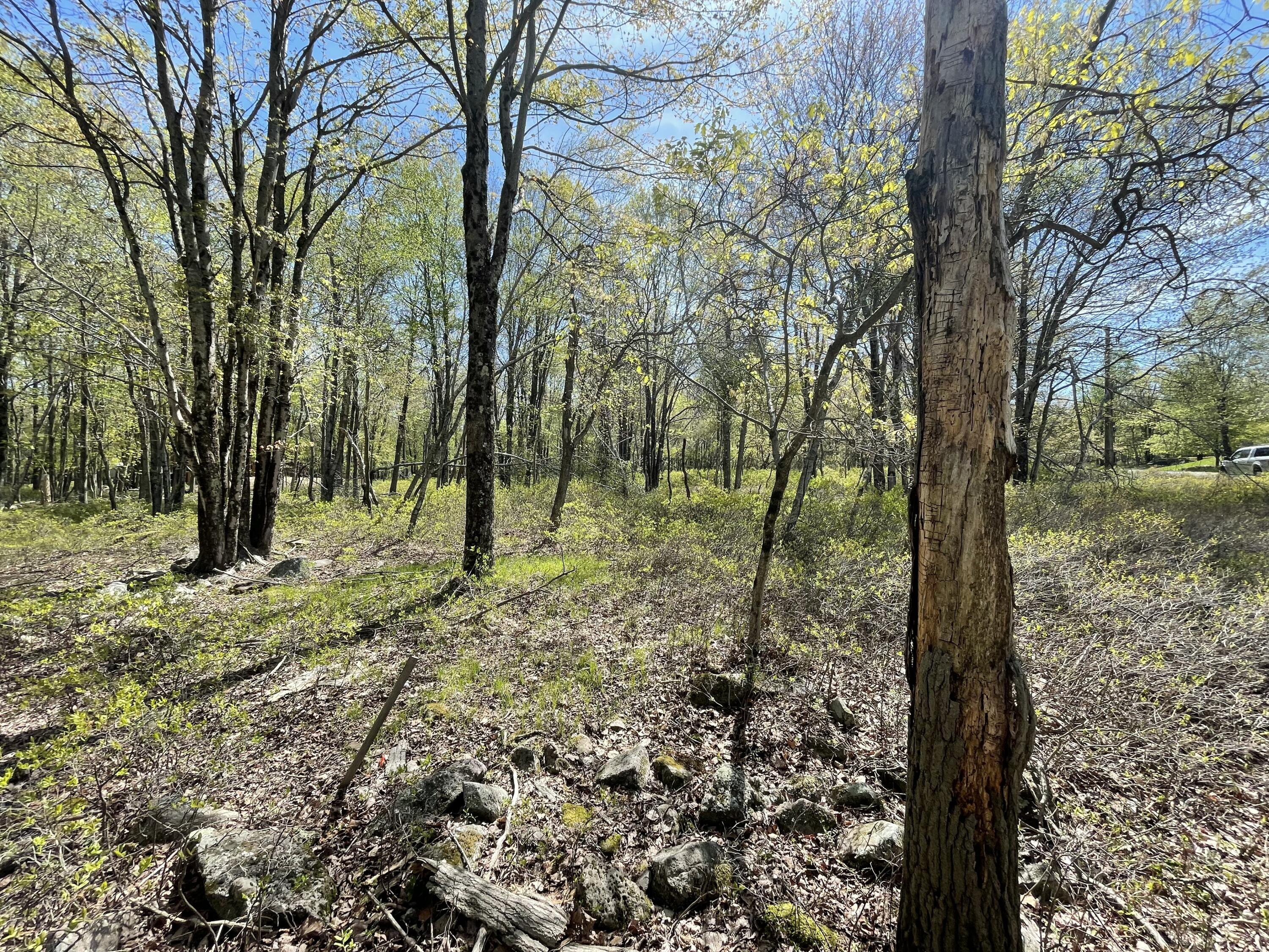Forest Hill Drive, Blakeslee, Pennsylvania image 6
