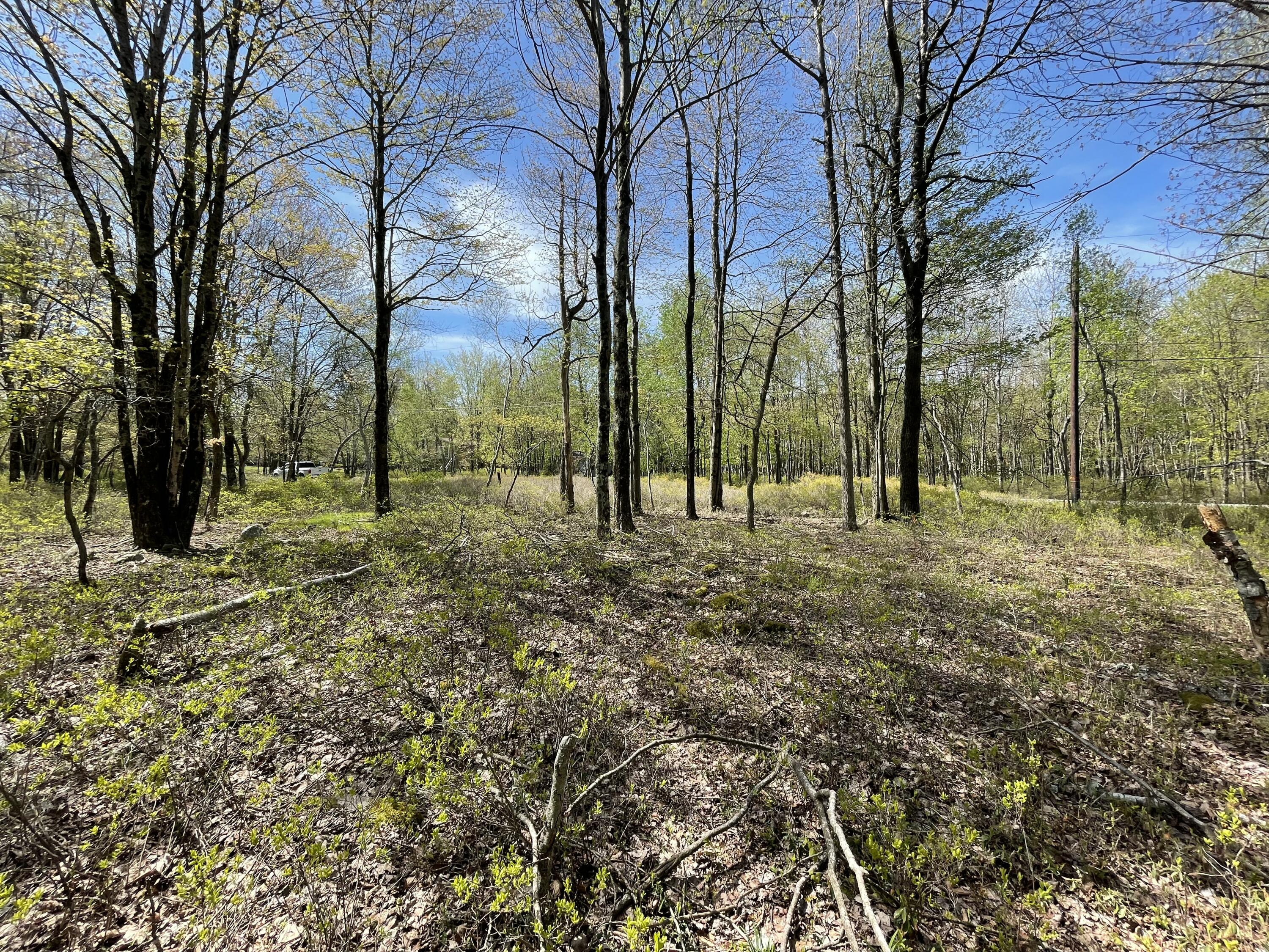 Forest Hill Drive, Blakeslee, Pennsylvania image 3