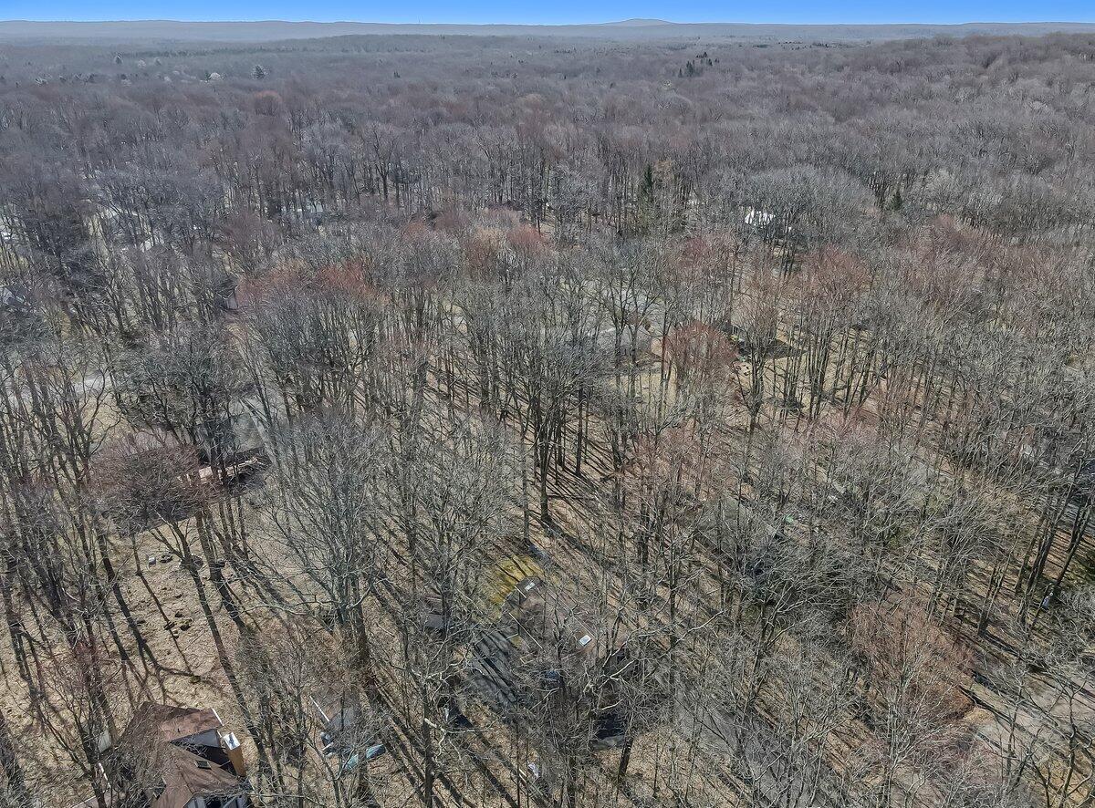 144 Beech Lane, Pocono Lake, Pennsylvania image 28