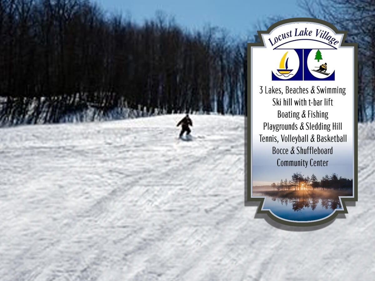 144 Beech Lane, Pocono Lake, Pennsylvania image 34
