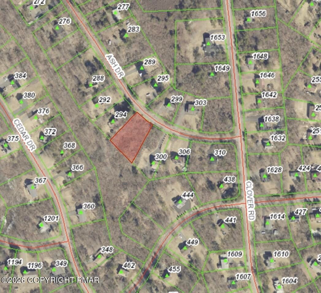 294 Ash Drive