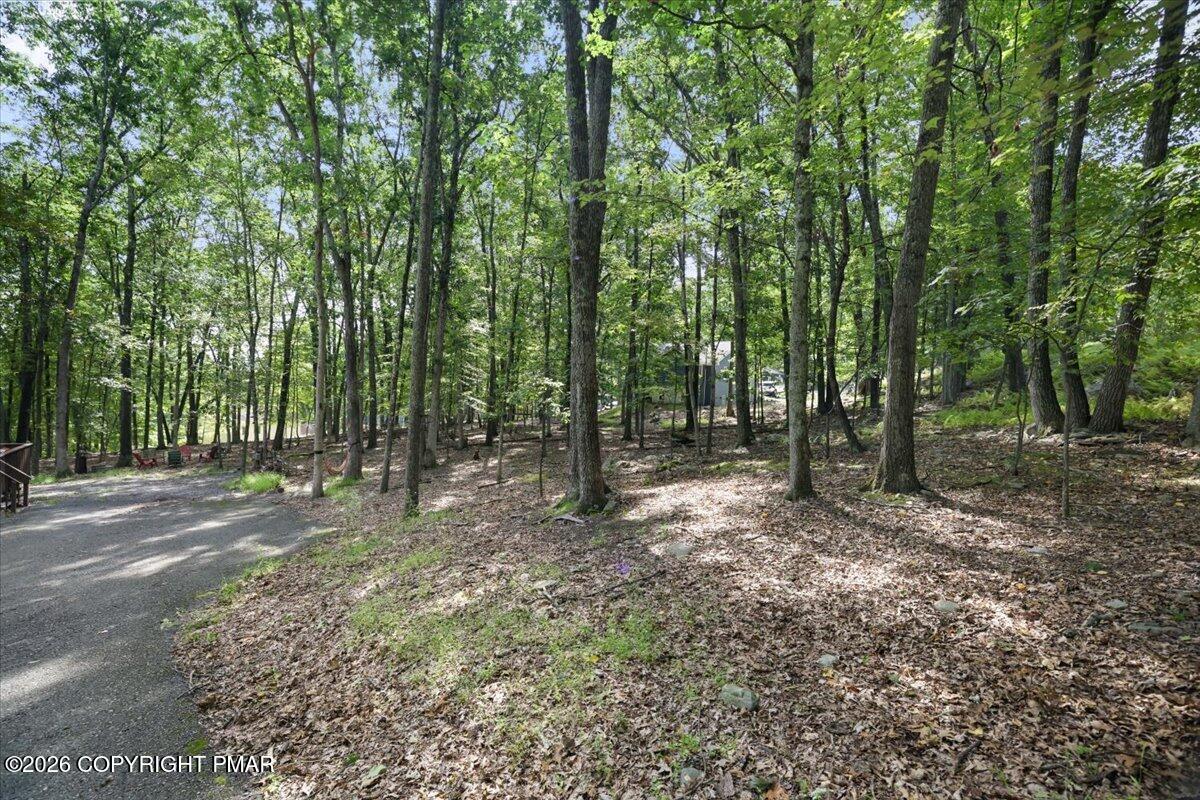 203 Bellingham Drive