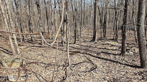 Vacant Land For Sale - Eagle Pass 711<br/> Swiftwater, PA 18370