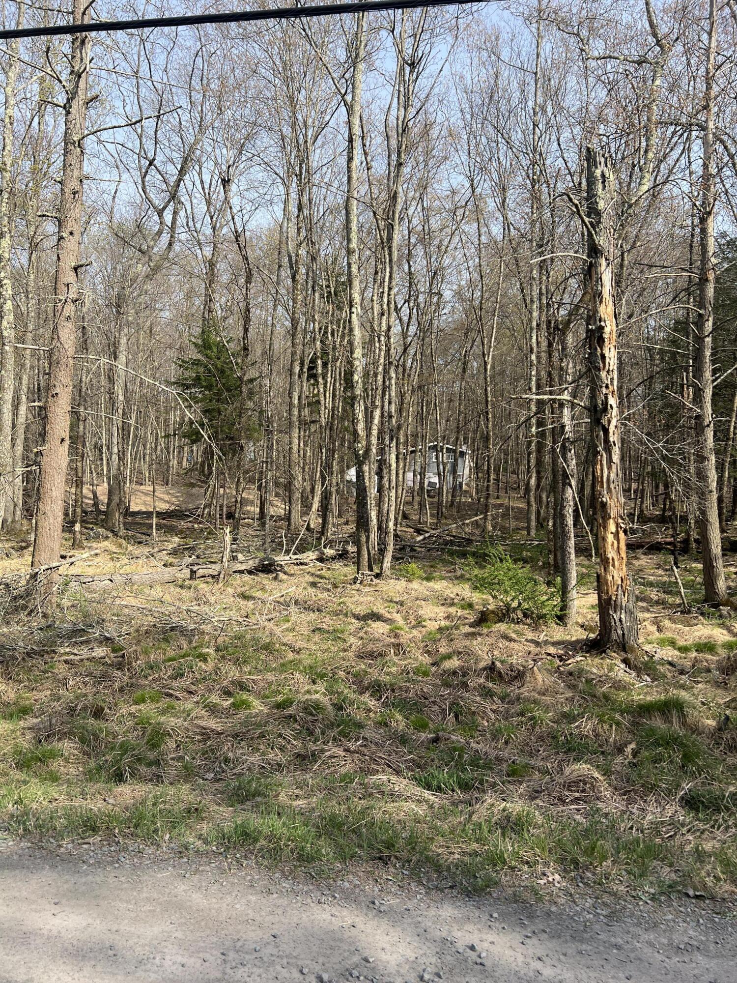 Lot 719 Elk Run Road, Pocono Lake, Pennsylvania image 4