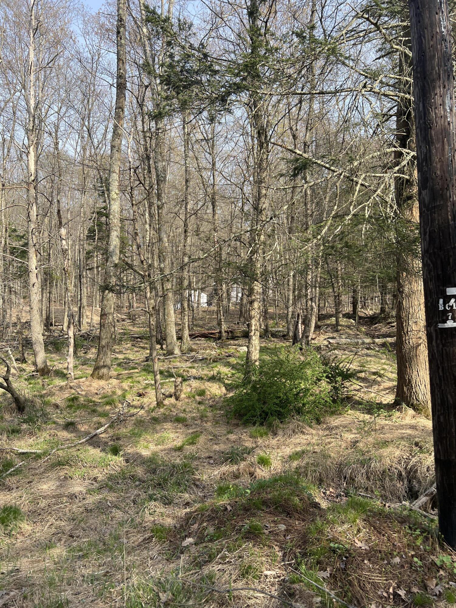 Lot 719 Elk Run Road, Pocono Lake, Pennsylvania image 3