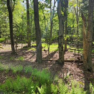 29 Old Silver Mine Trail, Gouldsboro, Pennsylvania image 7