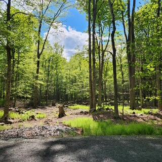 29 Old Silver Mine Trail, Gouldsboro, Pennsylvania image 2