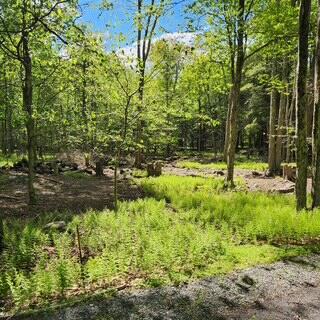 29 Old Silver Mine Trail, Gouldsboro, Pennsylvania image 1