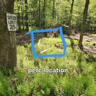 29 Old Silver Mine Trail, Gouldsboro, Pennsylvania image 6