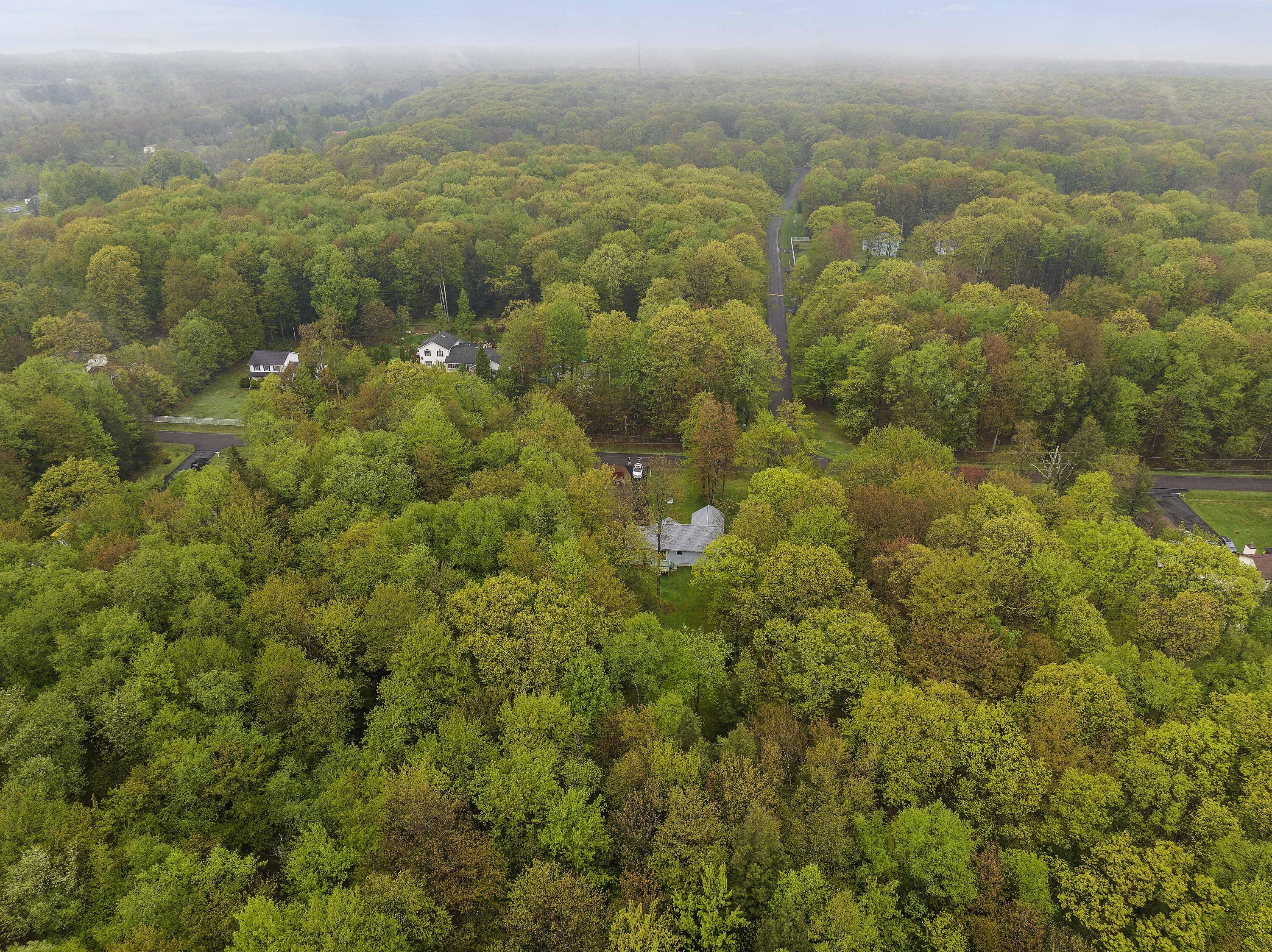 426 Tranquility Court, Long Pond, Pennsylvania image 43
