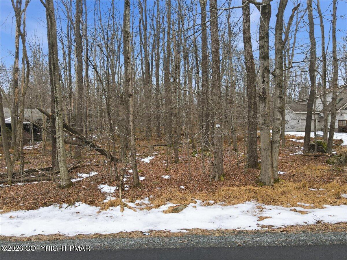 37 Lyman Lane