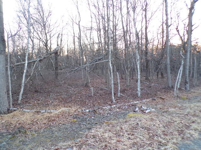 Lot 4403 Claremont Drive, Albrightsville, Pennsylvania image 3