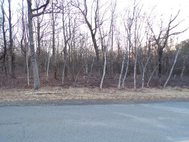 Lot 4403 Claremont Drive, Albrightsville, Pennsylvania image 1