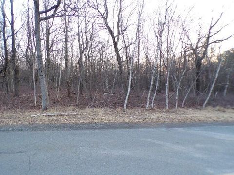 MLS: PM-130337
