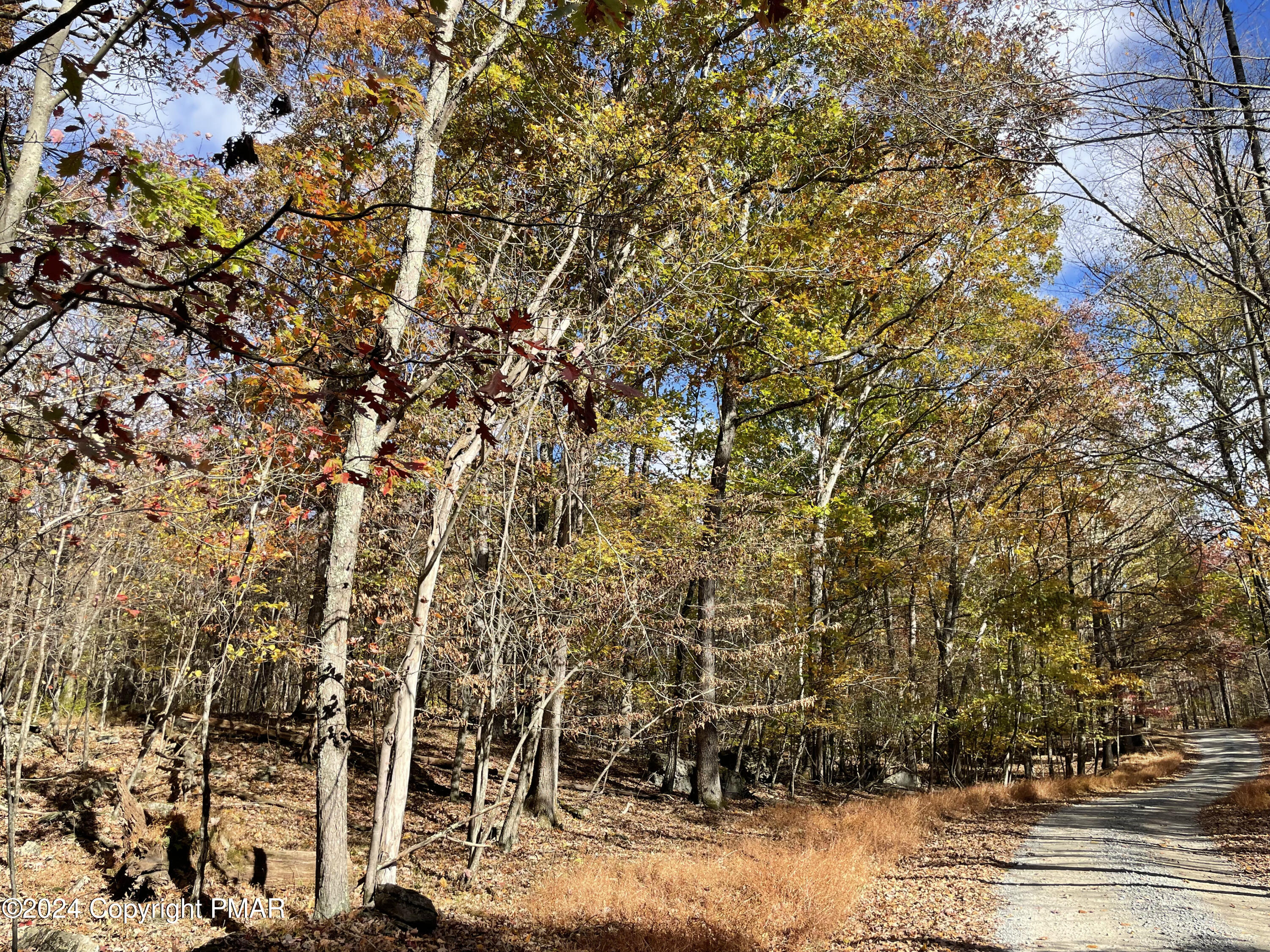 Lot 201 Snow Hill Falls Road, Cresco, Pennsylvania image 6