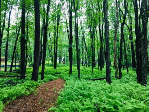Lot 506 Ridge Road Pocono Lake PA 18347