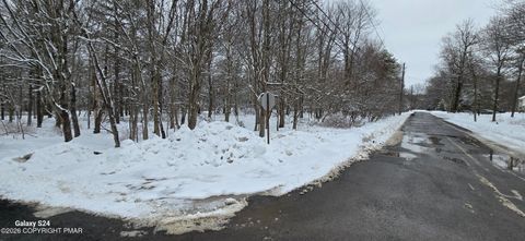 Vacant Land For Sale - Minisink Trail & Chippewa Trail<br/> Albrightsville, PA 18210