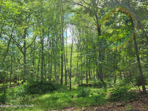 Vacant Land For Sale - 103 Brent Road<br/> Bushkill, PA 18324