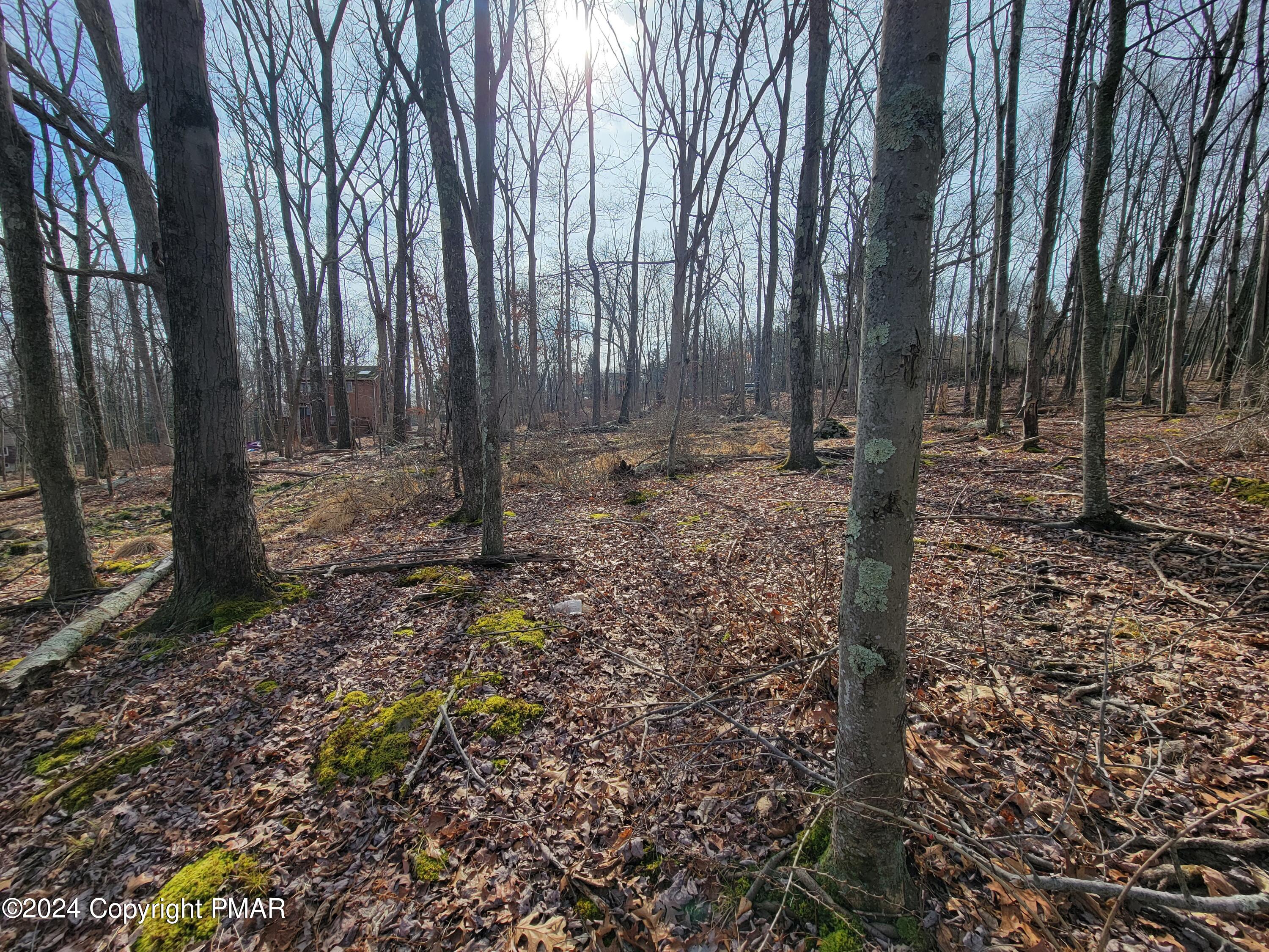 103 Brent Road, Bushkill, Pennsylvania image 2
