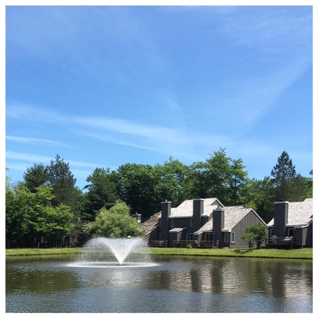 390 Snow Ridge Circle