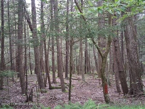 Vacant Land For Sale - 18 Robyn Lane<br/> Pocono Lake, PA 18347