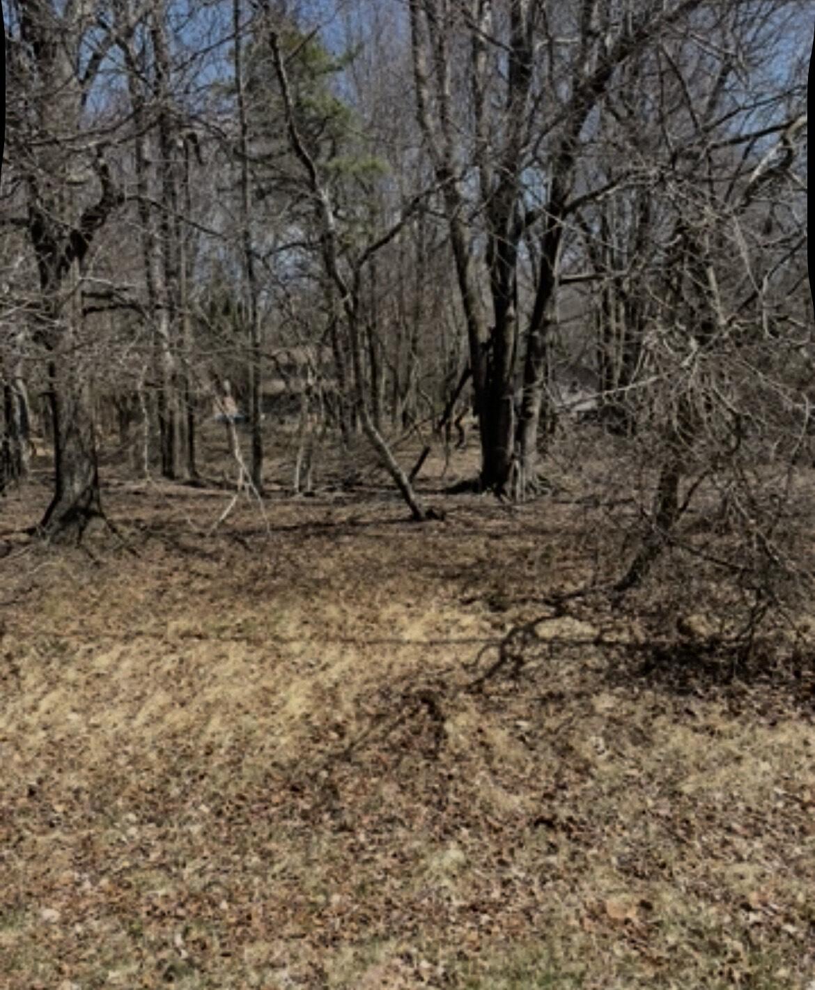 13 Poplar Pl, Blakeslee, Pennsylvania image 2