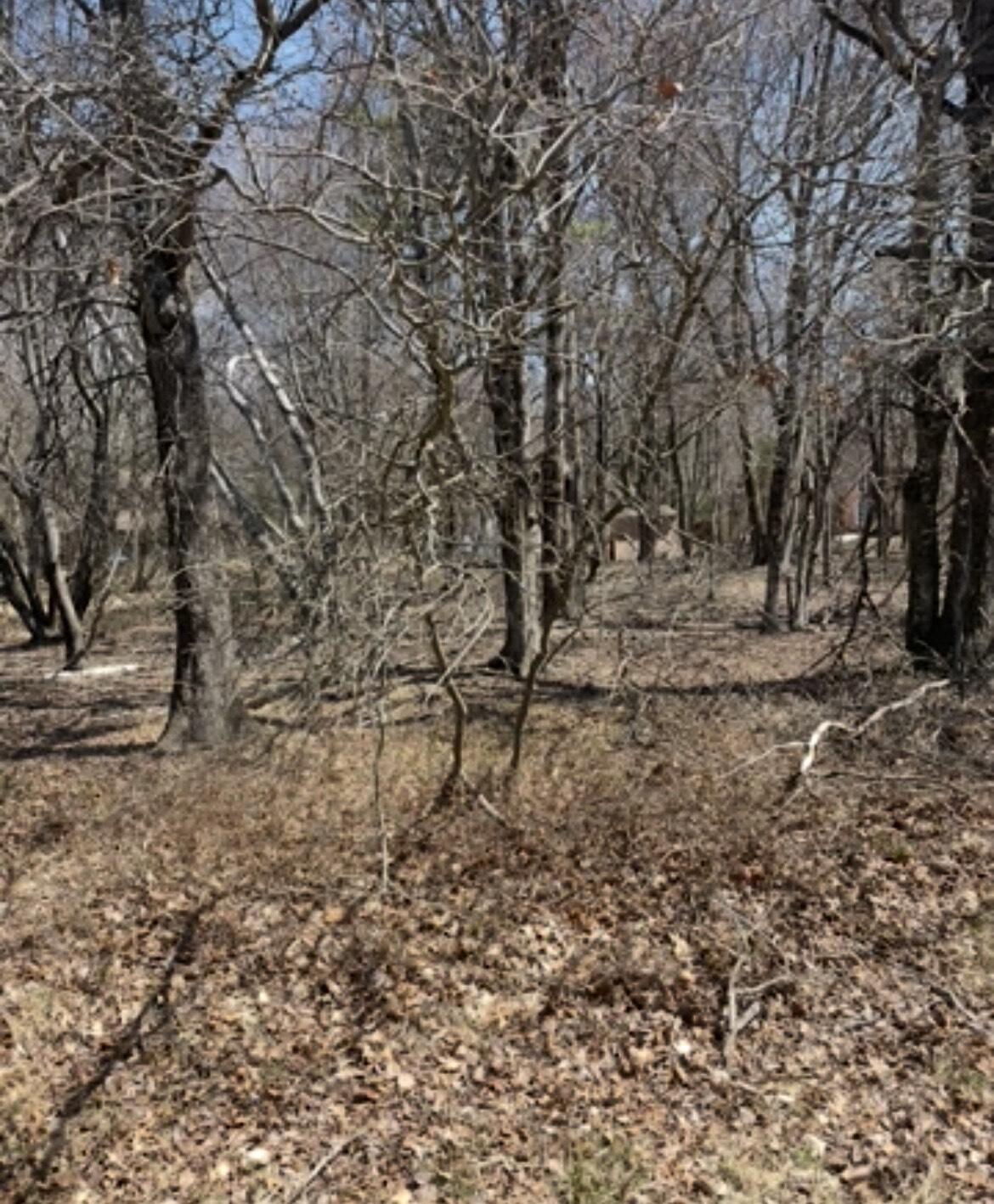 13 Poplar Pl, Blakeslee, Pennsylvania image 1