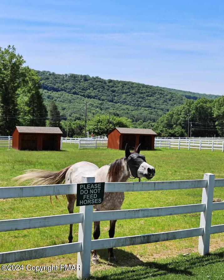 Katie Belle Ln, Zion Grove, Pennsylvania image 8