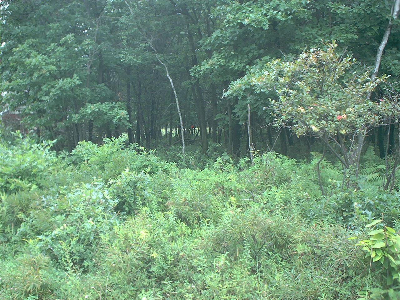 Orono Dr A 19 Drive, Pocono Lake, Pennsylvania image 3