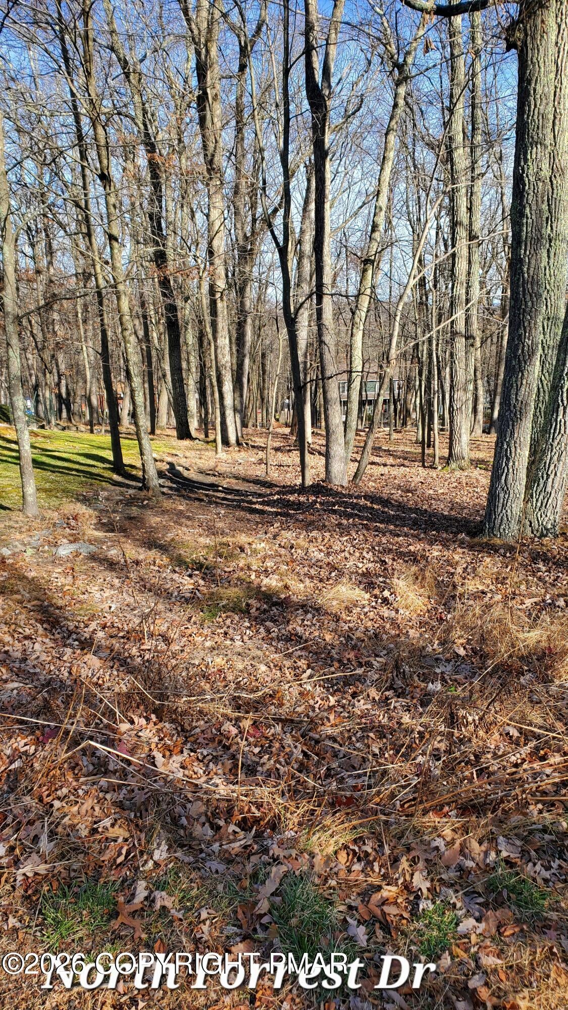 00 Lot North Forest Drive