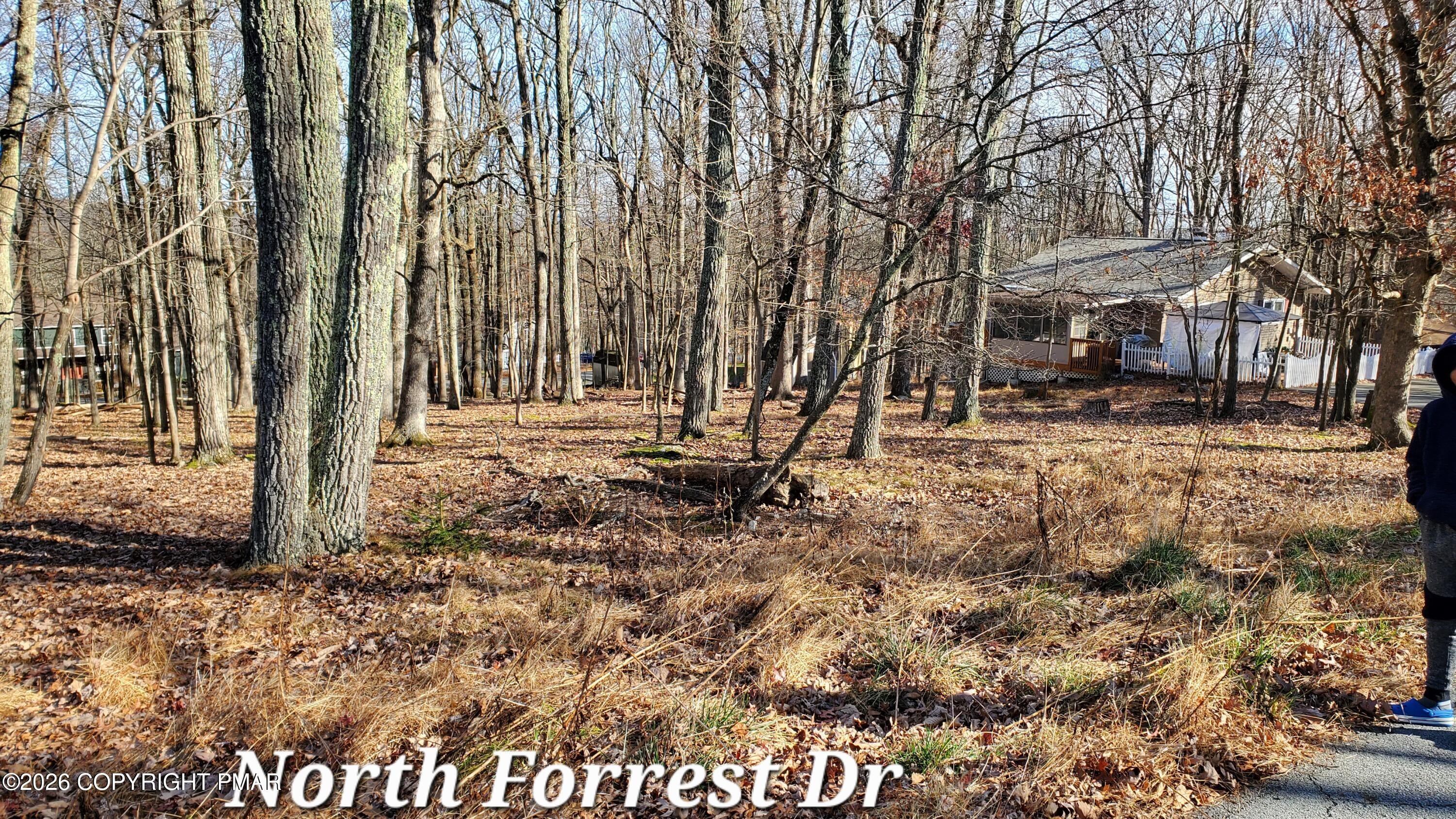 00 Lot North Forest Drive