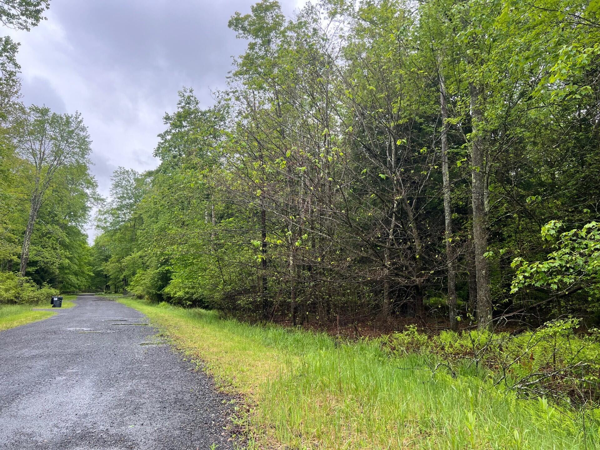 Land PIN 1 Forest Lane West 1001, Pocono Lake, Pennsylvania image 1