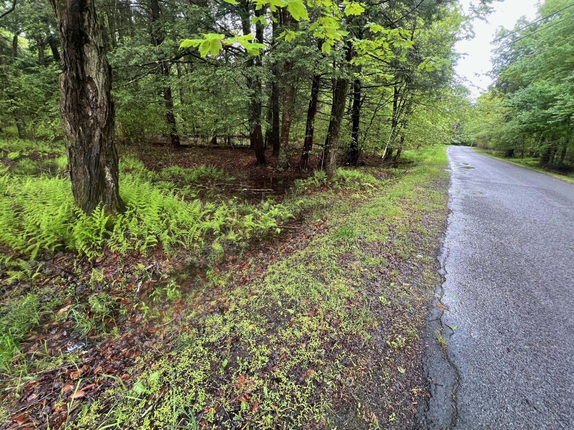 Land PIN 1 Forest Lane West 1001, Pocono Lake, Pennsylvania image 4