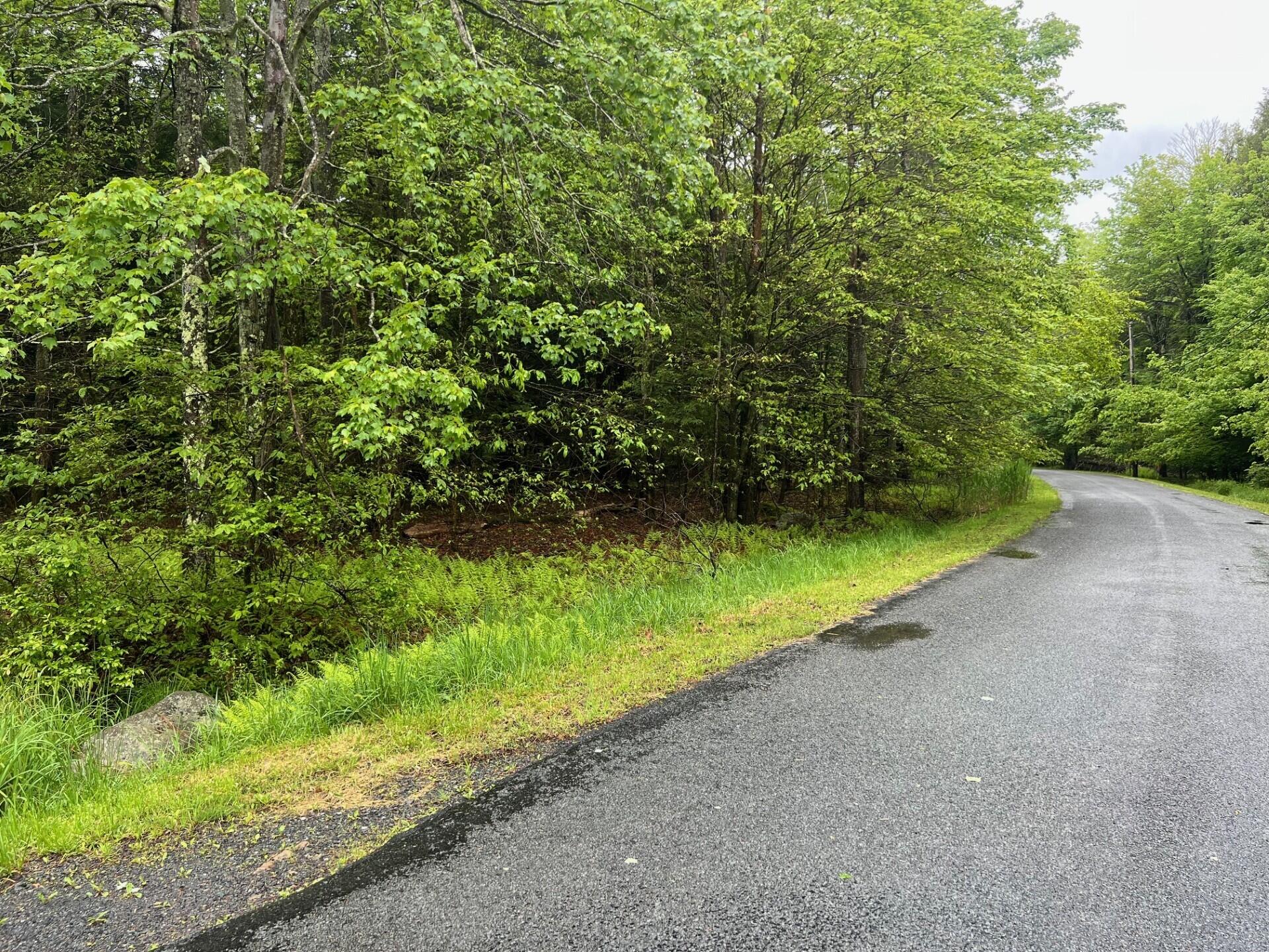 Land PIN 1 Forest Lane West 1001, Pocono Lake, Pennsylvania image 2