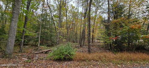 Vacant Land For Sale - A465 Redwood Drive<br/> Jim Thorpe, PA 18229