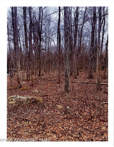 Vacant Land For Sale - 46 Gross Dr Drive<br/> Monroe County, Pocono Pines, PA 18350