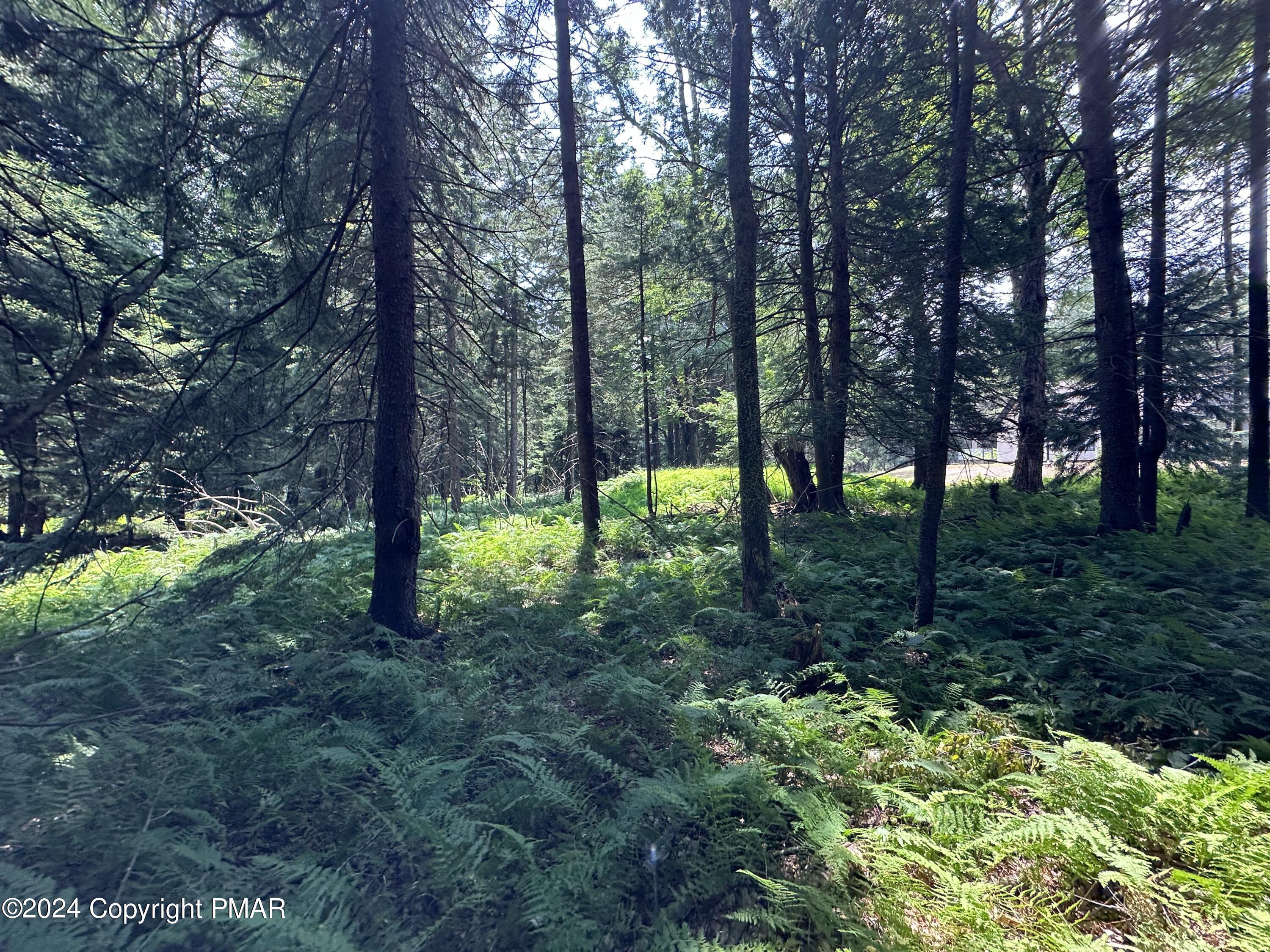 1127 Sawmill Road, Pocono Lake, Pennsylvania image 1