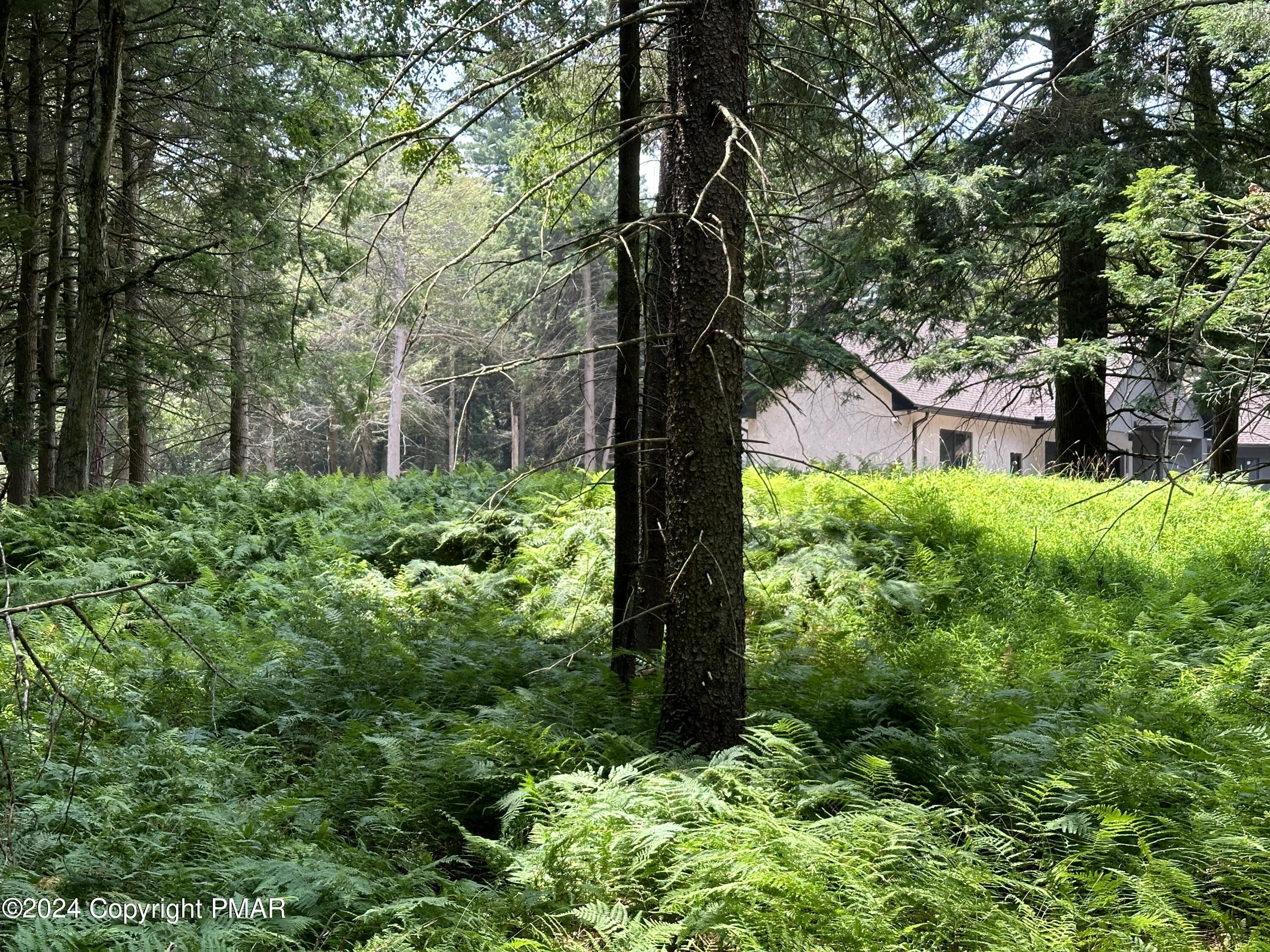 1127 Sawmill Road, Pocono Lake, Pennsylvania image 2