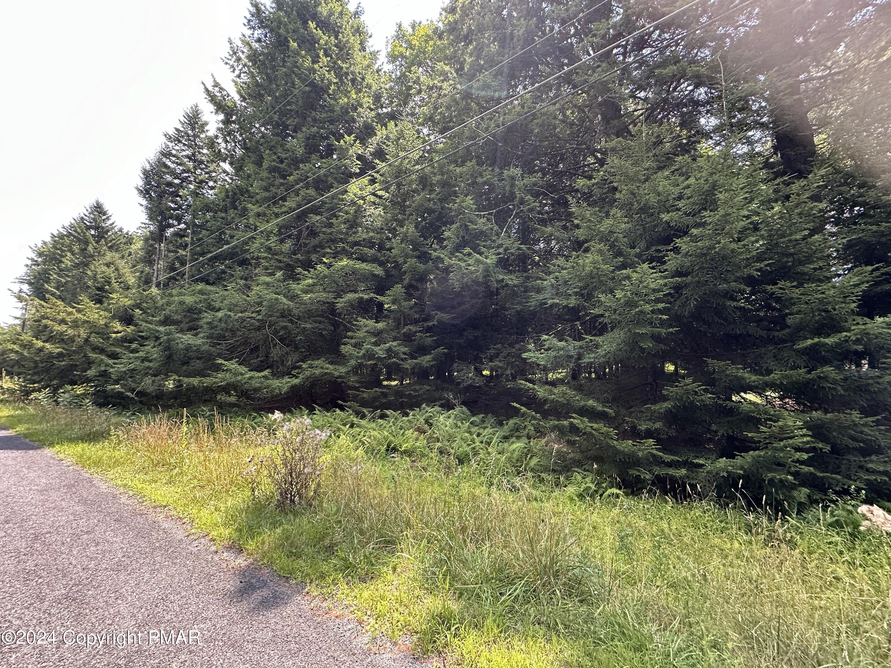 1127 Sawmill Road, Pocono Lake, Pennsylvania image 10