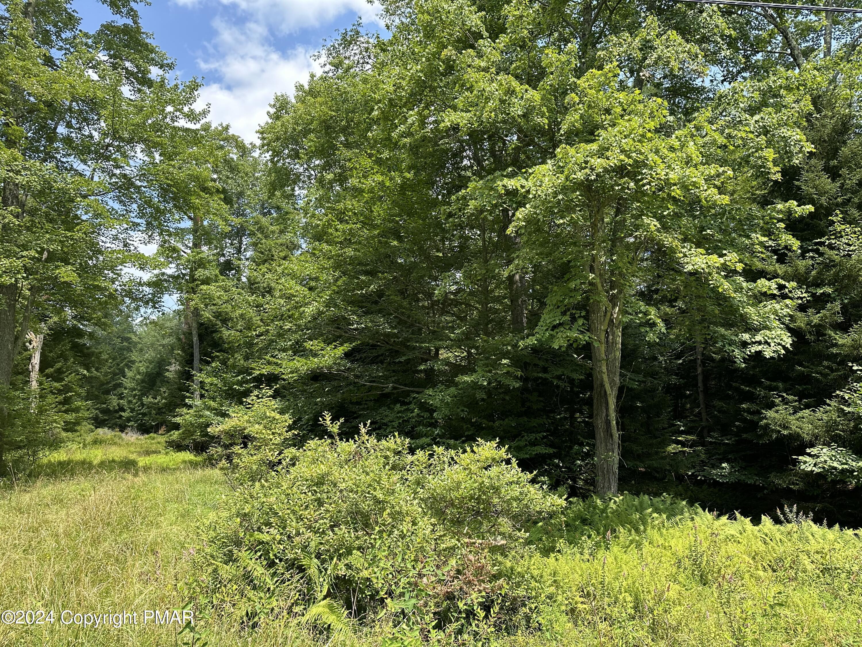 1127 Sawmill Road, Pocono Lake, Pennsylvania image 12