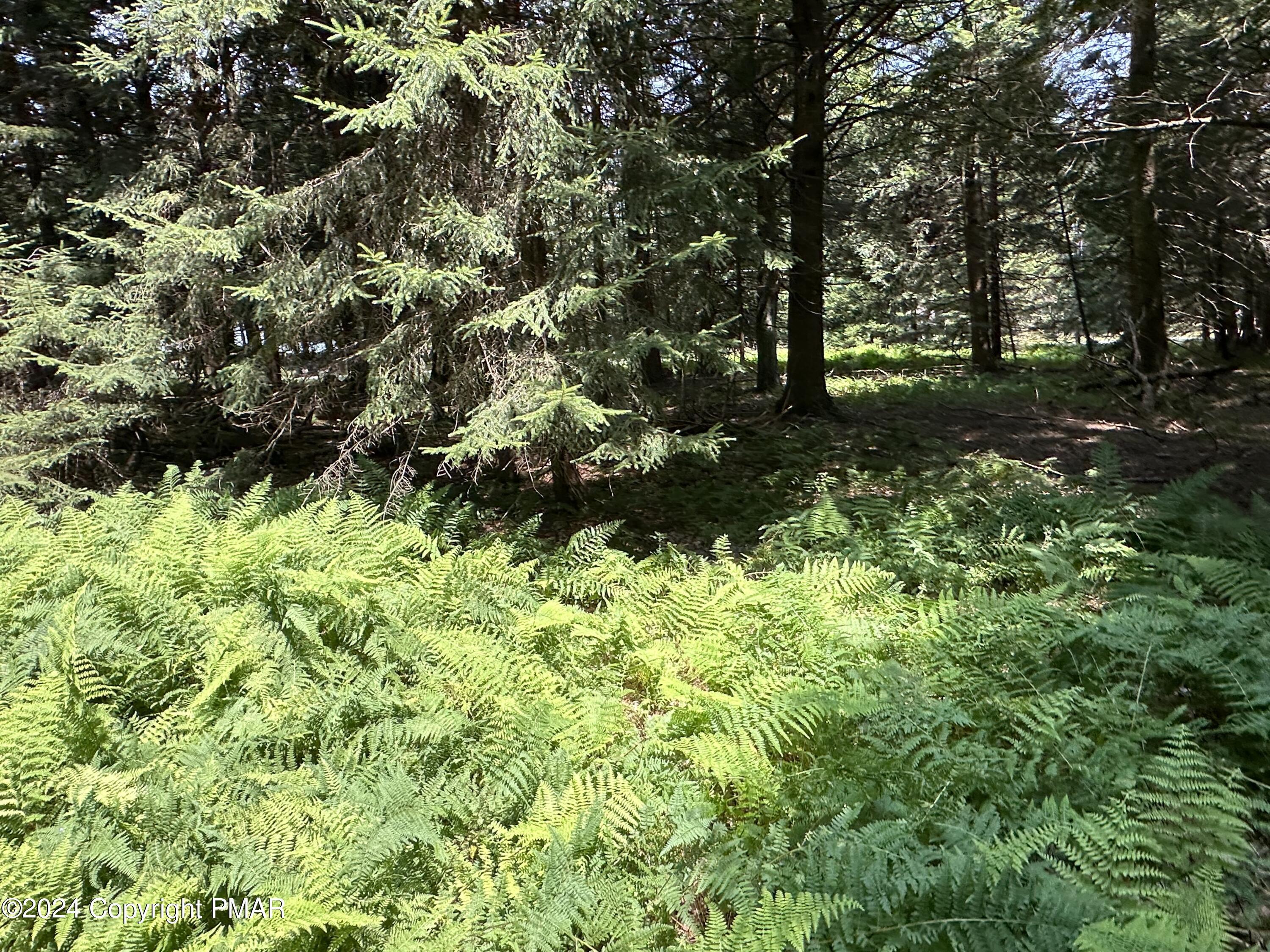 1127 Sawmill Road, Pocono Lake, Pennsylvania image 11