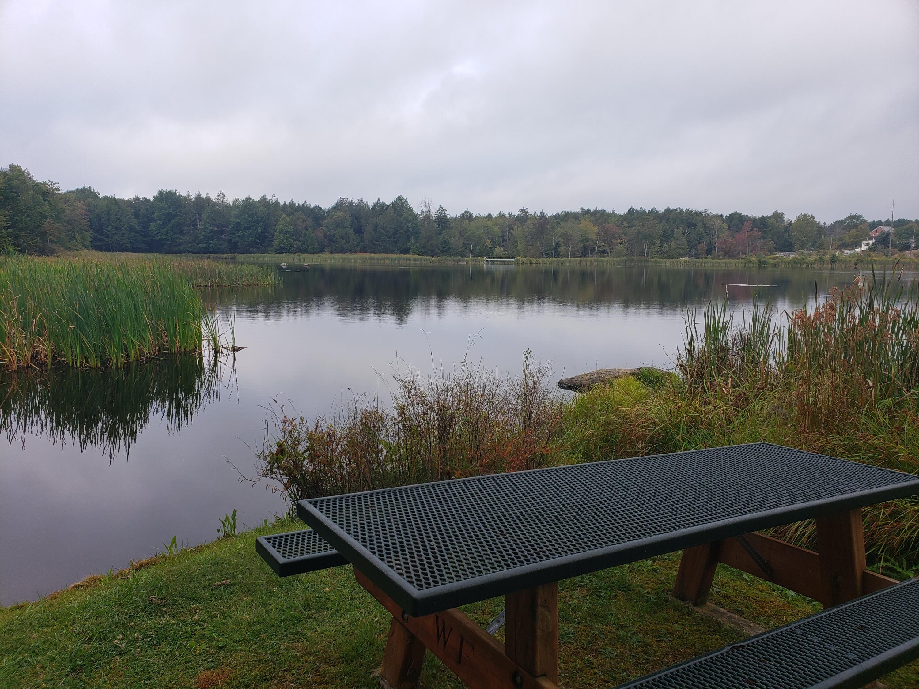 1127 Sawmill Road, Pocono Lake, Pennsylvania image 16