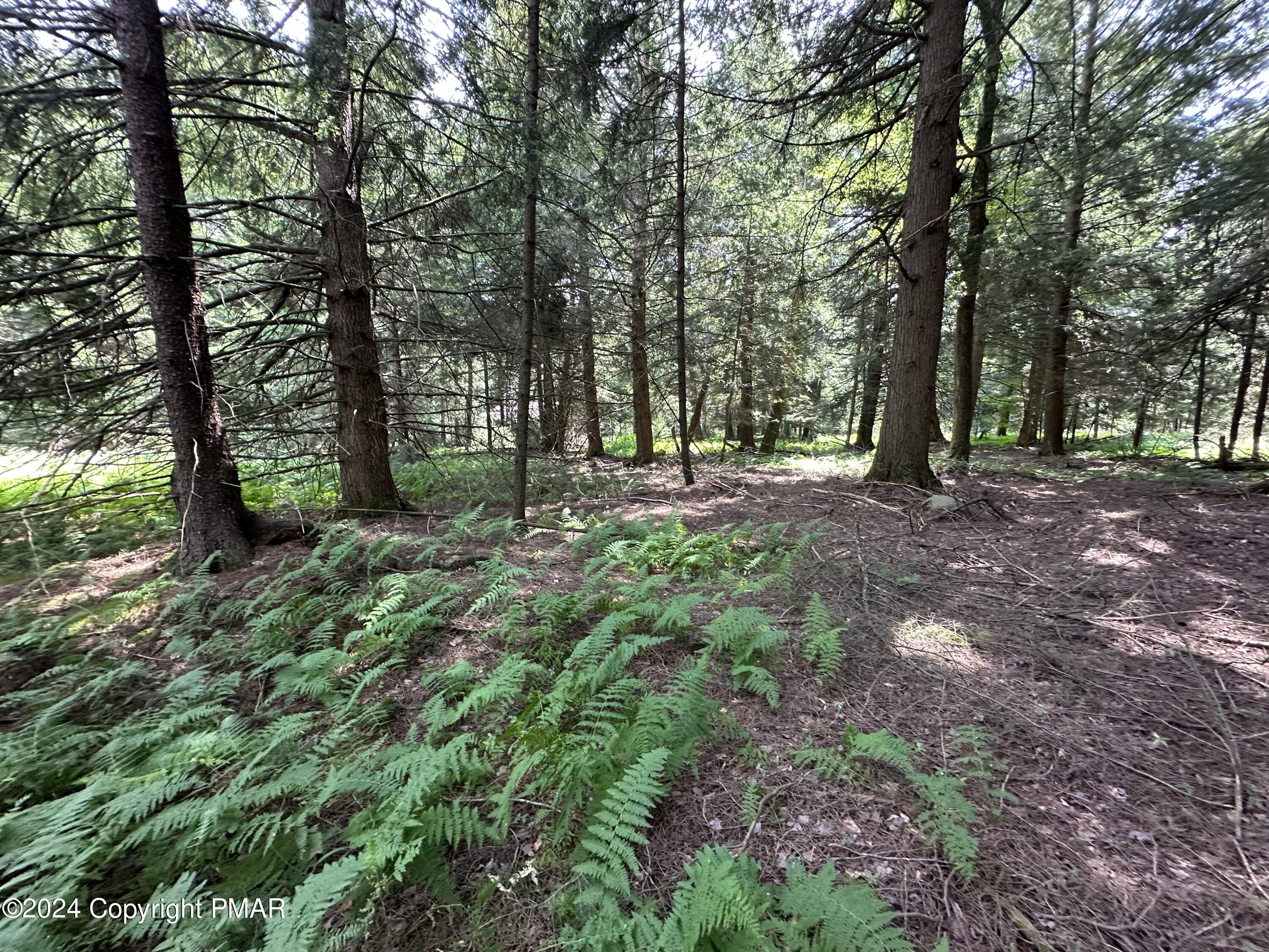 1127 Sawmill Road, Pocono Lake, Pennsylvania image 3